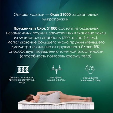 Матрас EveRest Кокос Мемори S1000 (Кокос&nbsp;Мемори&nbsp;S1000)